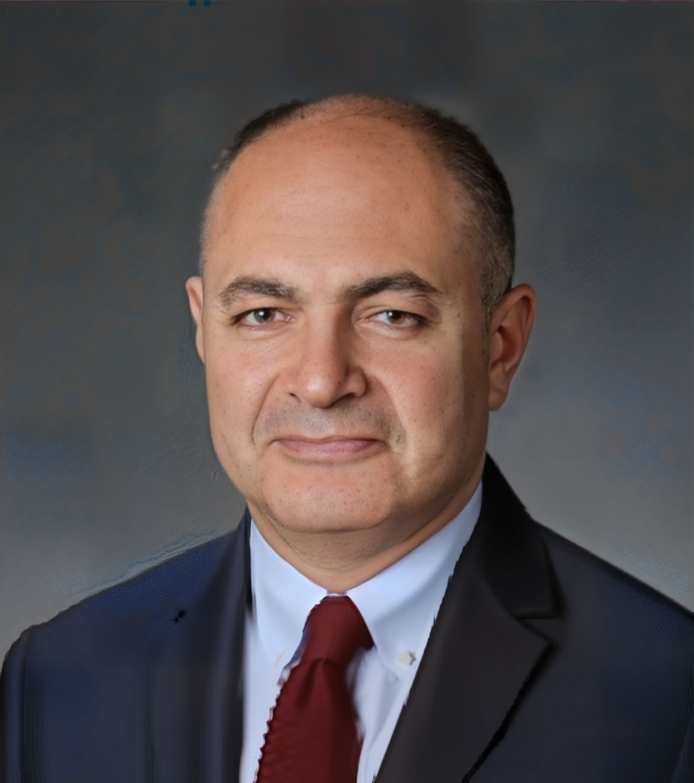 Prof. Hakan Emmez, MD Prof. Hakan Emmez, MD